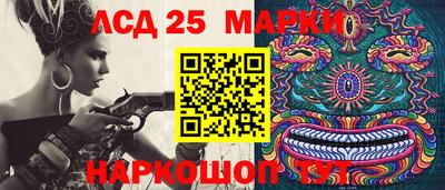 прущие грибы Апшеронск