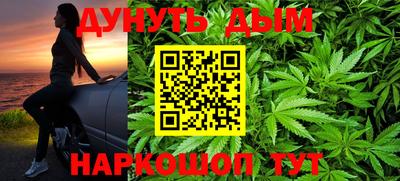 прущие грибы Апшеронск