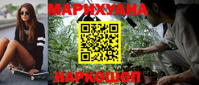 прущие грибы Апшеронск