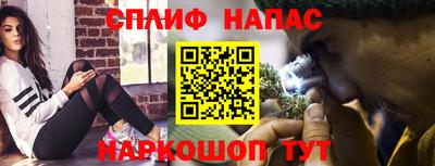 прущие грибы Апшеронск