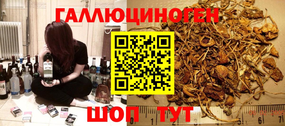 Выборг  Псилоцибиновые грибы ЛСД  закладка  Вход с VPN 